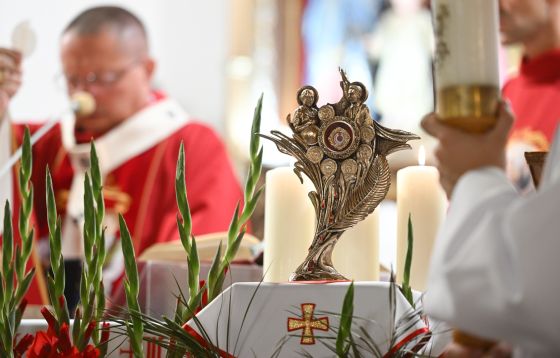 Łódź: wprowadzenie relikwii Błogosławionej Rodziny Ulmów