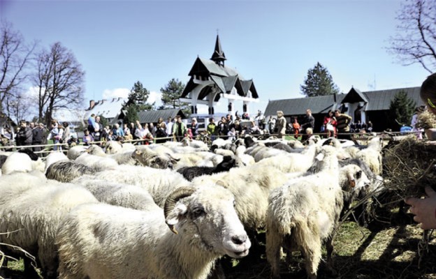 Tegoroczne Święto Bacowskie będzie obchodzone w Ludźmierzu w Niedzielę Dobrego Pasterza. Poświęcone zostaną
nie tylko owce, ale również bacowie i juhasi oraz hale, na których pasą się stada