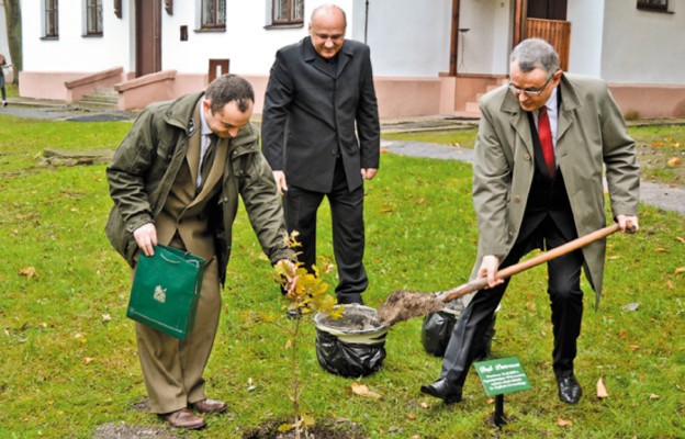 Zasadzenie dębu patrona