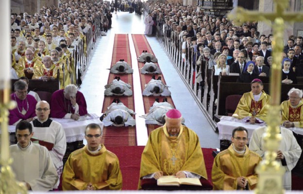 Siedmiu kapłanów dla diecezji świdnickiej