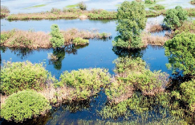 Krajobraz Polesia