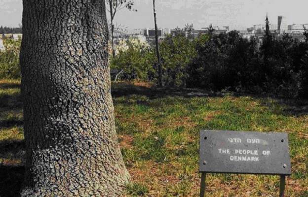 Duńskie drzewo pamięci w Yad Vashem