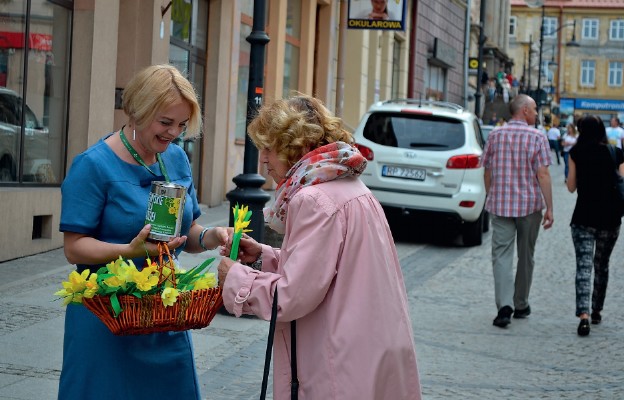 Ulice Przemyśla zakwitły na żółto