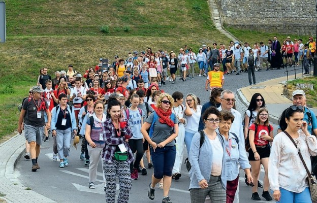 Oblubienico Ducha Świętego, módl się za nami!