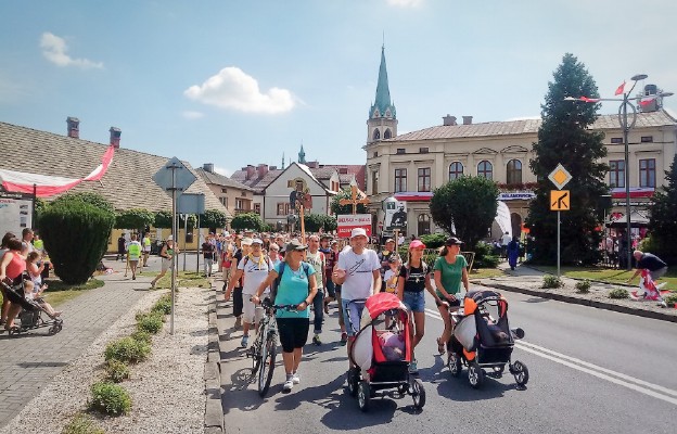 Spojrzenia na pątniczą drogę