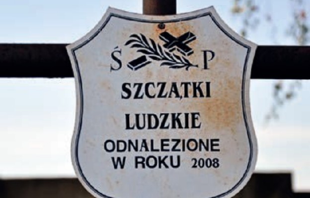 Bezimienne groby na cmentarzu w Lublinie