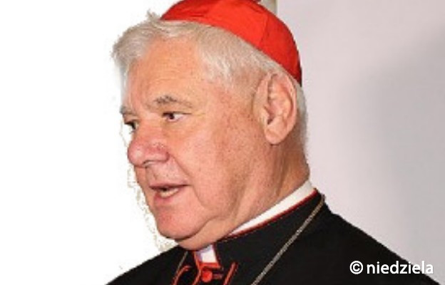 Vatican: card.  Muller acceptă mișcarea cărților.  Clopot pentru a avertiza episcopii germani