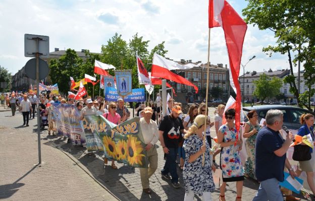 Tak w ubiegłych latach wyglądał Marsz Życia i Rodziny