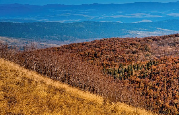 Bieszczady – papieskie góry zadumy