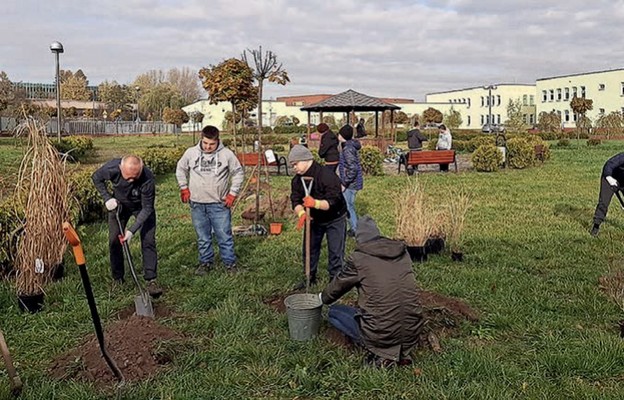 Uczniowie z Dąbrowy Górniczej sami tworzyli przyszkolny ogród