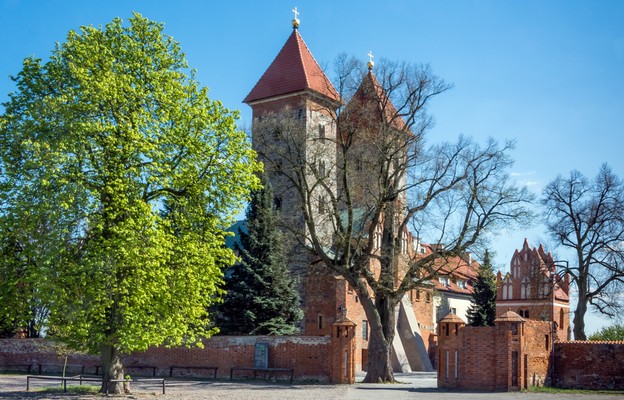 Sanktuarium Jagiellonów i Wazów