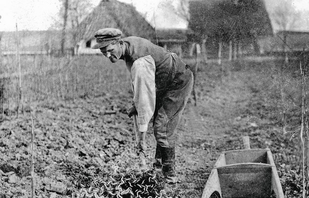 Sumienie Ulmów budowała wierność codziennym obowiązkom