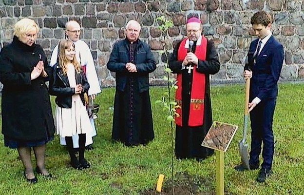 Papież ma swoje dęby a bł. Ulmowie jabłoń