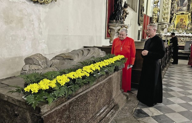 Symbol polsko-czeskiej jedności