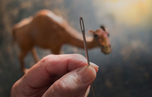 Stawiać wartości duchowe ponad materialne