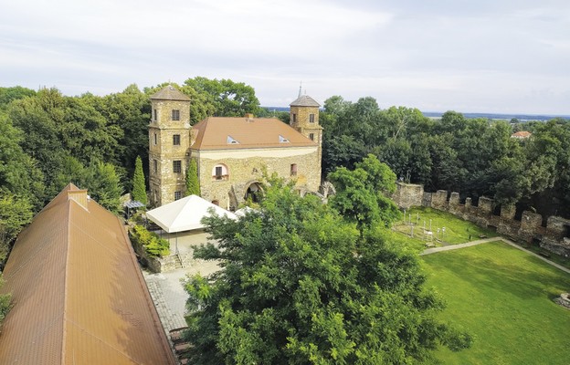 Widok z wieży na pozostałe zabudowania toszeckiego zamku