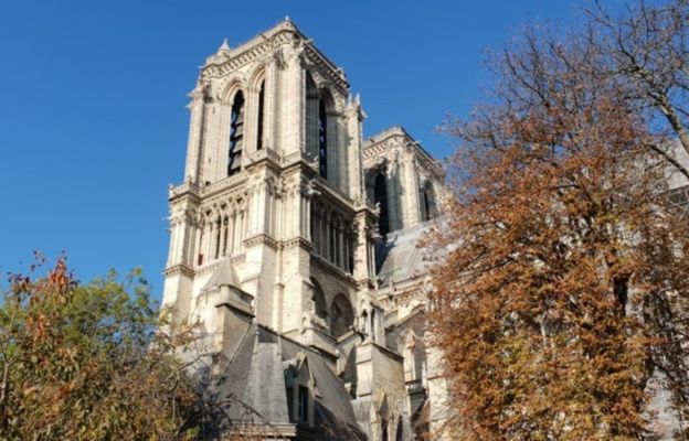 Katedra Notre Dame