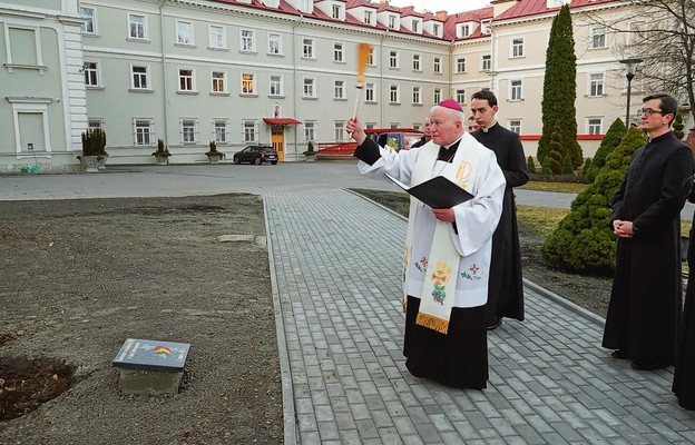 Drzewo zasadzono w ogrodzie Wyższego Seminarium Duchownego w Przemyślu